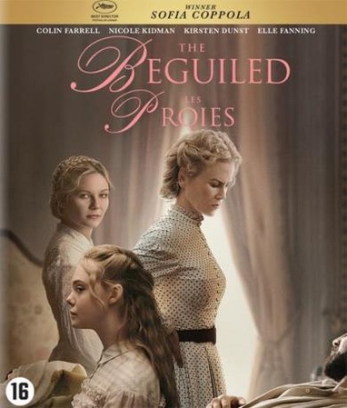 Beguiled, The cover
